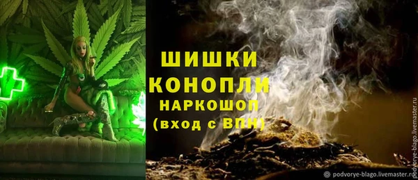 индика Аркадак