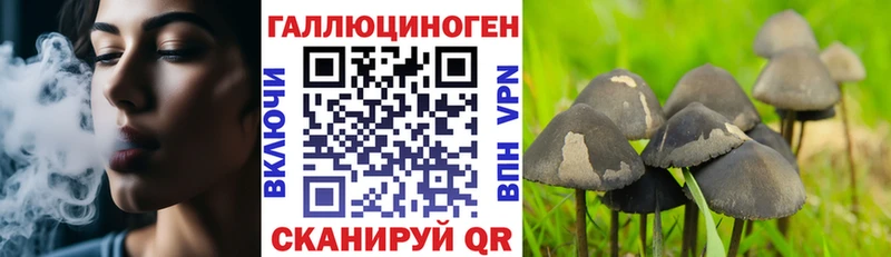 Псилоцибиновые грибы Cubensis  Шали 